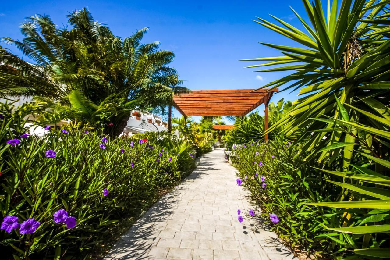 Parque Don Jose Apartment Costa Del Silencio Buitenkant foto